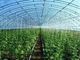 گلخانه گیاهی کشاورزی پیش ساخته سازه فولادی سبک Q235 ISO9001